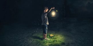 Le Créateur – Votre Magnifique & Incroyable Lumière