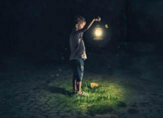 Le Créateur – Votre Magnifique & Incroyable Lumière