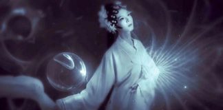 Le Créateur – Conçu Juste pour Vous