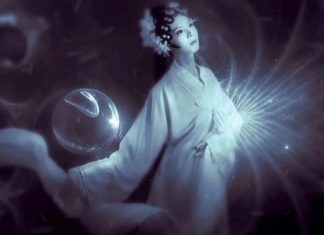 Le Créateur – Conçu Juste pour Vous