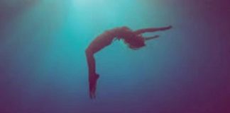 Le Créateur – Plongez-y !