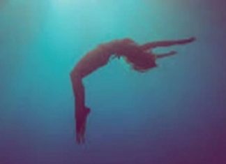 Le Créateur – Plongez-y !