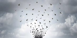 Le Créateur – Votre voyage