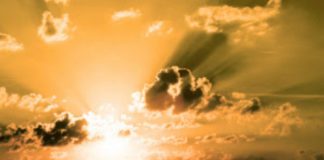 Le Collectif : Quand Les Ombres Viennent Danser