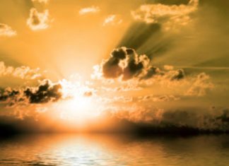 Le Collectif : Quand Les Ombres Viennent Danser