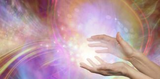 Le Créateur – Et nous voilà partis !