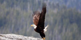 Le Créateur – Autorisez-vous à Savoir