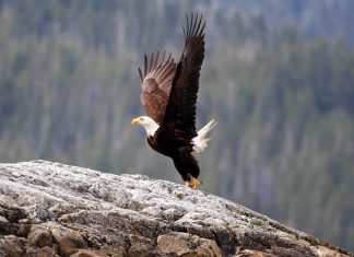 Le Créateur – Autorisez-vous à Savoir