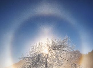 Le Créateur – Le moment parfait ?