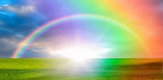 Gratitude à notre Terre Mère