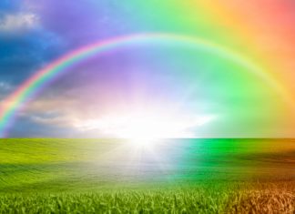 Gratitude à notre Terre Mère