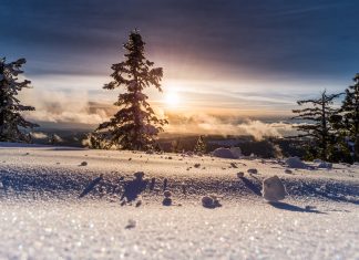 Message aux Porteurs de Lumière – 20 décembre 2021