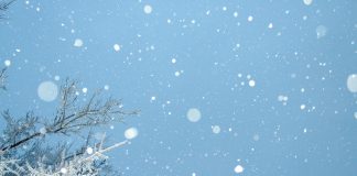 Une Bénédiction de Noël du Collectif