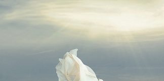 Le Créateur – Chute Libre