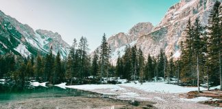 Un message aux Porteurs de Lumière – 10 décembre 2021