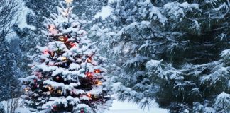 Votre corps véritable et éternel est un corps de Lumière