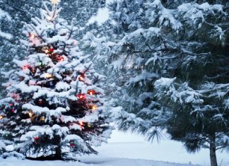 Votre corps véritable et éternel est un corps de Lumière