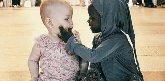 Le Créateur – Compassion