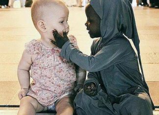 Le Créateur – Compassion