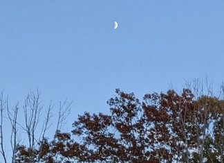 Le démantèlement des défenses