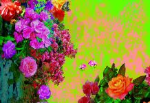 Un point de référence et un Foyer