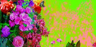 Un point de référence et un Foyer