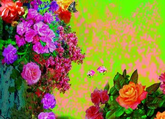 Un point de référence et un Foyer