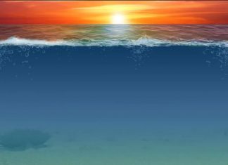 Activation des Anciens Codes qui assistent le Grand Retour