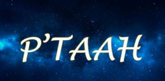 P’taah – « Nouveaux départs en 2022 »