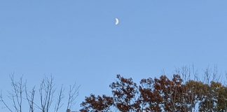 Un terrain pour l’épanouissement de tous