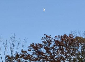 Bénissez tout, et vous êtes bénis