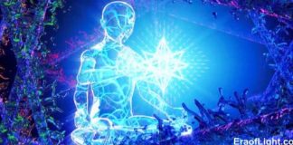 Créer dans l’Alignement