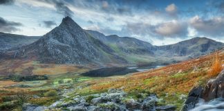 Un Message aux Porteurs de Lumière – 8 Décembre 2021