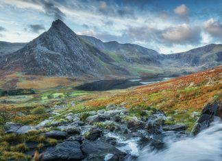 Un Message aux Porteurs de Lumière – 8 Décembre 2021