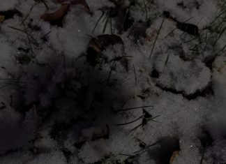 La vue de la fonction harmonique