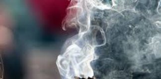 Le Créateur – Tenir la Maison