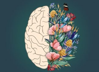 Le Créateur – Créez des Souvenirs