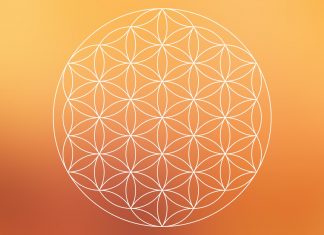 Seigneur Melchizédek : La Fleur de Vie