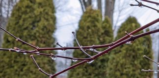 Indéfini et Toujours Utile