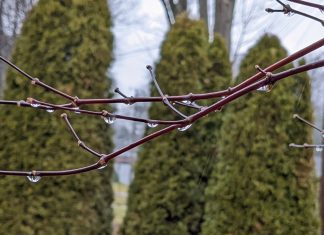 Indéfini et Toujours Utile