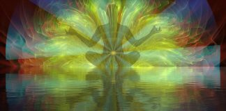 Mère Divine : Expansion et Connexion