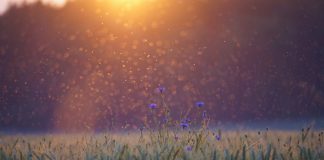 Nouveaux codes en provenance du Soleil !