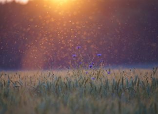 Nouveaux codes en provenance du Soleil !