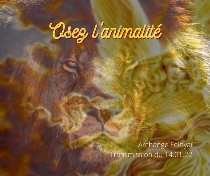Osez l'animalité