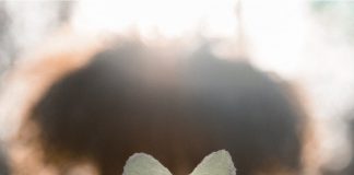 Le pouvoir de votre Cœur