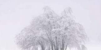 Si vous Écoutez Attentivement, le Silence est Magnifique