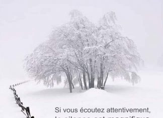 Si vous Écoutez Attentivement, le Silence est Magnifique