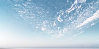 Mère Marie : La Dévotion