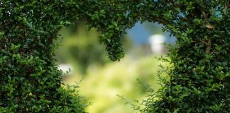 Mère Divine : Une Lentille Divine