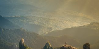 Une Joie Inébranlable